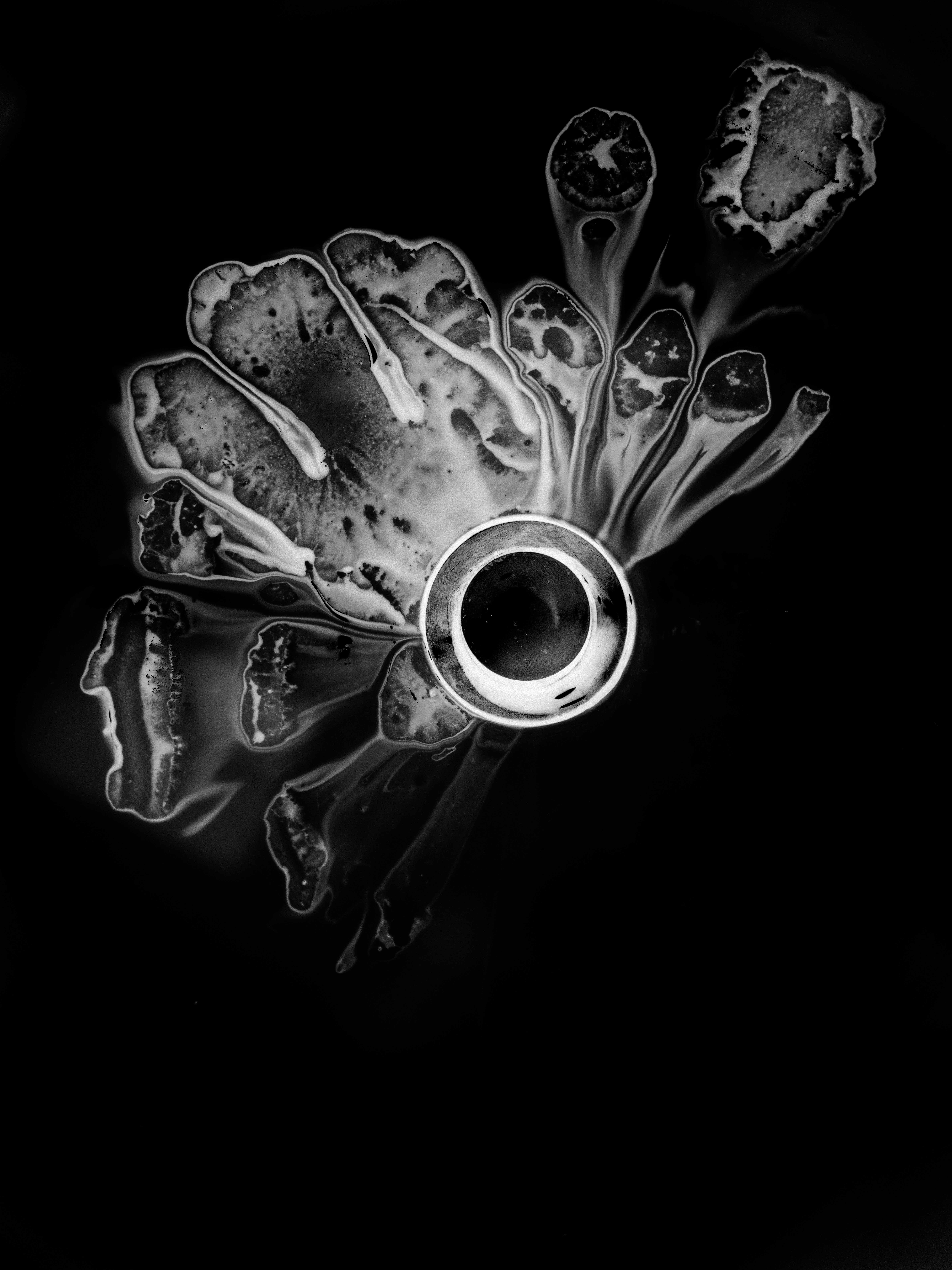 The Lens of Priti Ganatra
